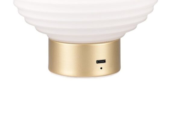 Trio Reality TR57771101 LED stolní lampička EARL | 1,5W integrovaný LED zdroj | 100lm | 3000K