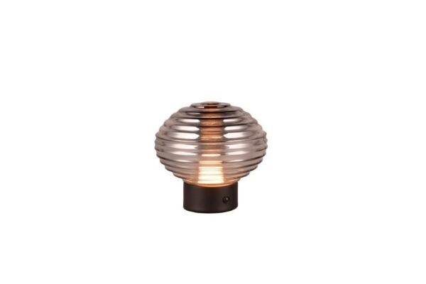 Trio Reality TR57771154 LED stolní lampička EARL | 1,5W integrovaný LED zdroj | 100lm | 3000K
