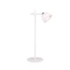 Trio Reality TR57791101 LED stolní lampička MAXIMA | 3W integrovaný LED zdroj | 250lm | 3000K