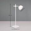 Trio Reality TR57791101 LED stolní lampička MAXIMA | 3W integrovaný LED zdroj | 250lm | 3000K