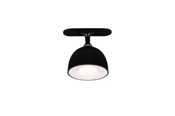 Trio Reality TR57791102 LED stolní lampička MAXIMA | 3W integrovaný LED zdroj | 250lm | 3000K