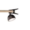 Trio Reality TR57791102 LED stolní lampička MAXIMA | 3W integrovaný LED zdroj | 250lm | 3000K