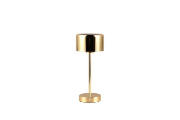 Trio Reality TR59151103 LED stolní svítidlo JEFF | 1,5W integrovaný LED zdroj | 120lm | 3000K