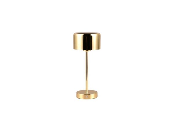 Trio Reality TR59151103 LED stolní svítidlo JEFF | 1,5W integrovaný LED zdroj | 120lm | 3000K