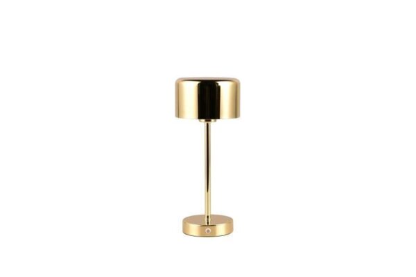 Trio Reality TR59151103 LED stolní svítidlo JEFF | 1,5W integrovaný LED zdroj | 120lm | 3000K