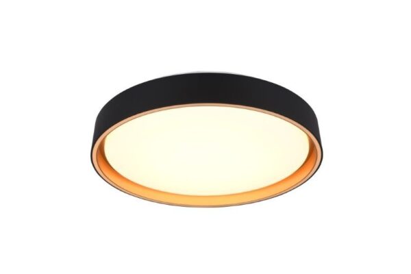 Trio Reality TR64391080 LED přisazené stropní svítidlo FELIS | 24W integrovaný LED zdroj | 2500lm | 2700-6500K