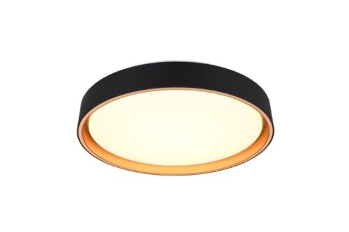 Trio Reality TR64391080 LED přisazené stropní svítidlo FELIS | 24W integrovaný LED zdroj | 2500lm | 2700-6500K