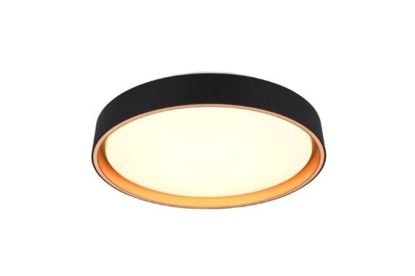 Trio Reality TR64391080 LED přisazené stropní svítidlo FELIS | 24W integrovaný LED zdroj | 2500lm | 2700-6500K