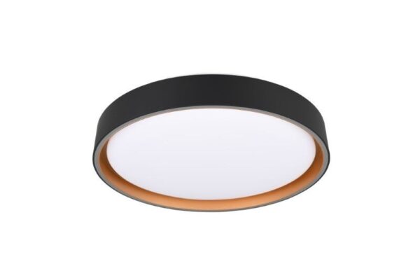 Trio Reality TR64391080 LED přisazené stropní svítidlo FELIS | 24W integrovaný LED zdroj | 2500lm | 2700-6500K