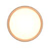 Trio Reality TR64391080 LED přisazené stropní svítidlo FELIS | 24W integrovaný LED zdroj | 2500lm | 2700-6500K