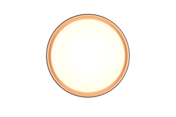 Trio Reality TR64391080 LED přisazené stropní svítidlo FELIS | 24W integrovaný LED zdroj | 2500lm | 2700-6500K