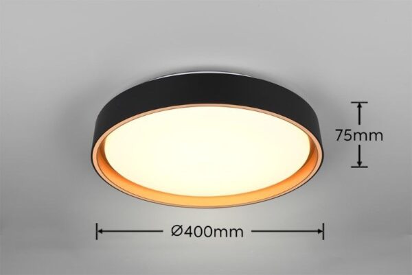 Trio Reality TR64391080 LED přisazené stropní svítidlo FELIS | 24W integrovaný LED zdroj | 2500lm | 2700-6500K