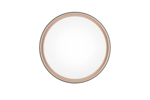Trio Reality TR64391080 LED přisazené stropní svítidlo FELIS | 24W integrovaný LED zdroj | 2500lm | 2700-6500K