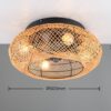 Trio Reality TR67302126 ventilátor s osvětlením LILLESAND E27
