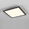 Trio Reality TR67663032 LED přisazené stropní svítidlo BETA | 13W integrovaný LED zdroj | 1400lm | 2700-6500K