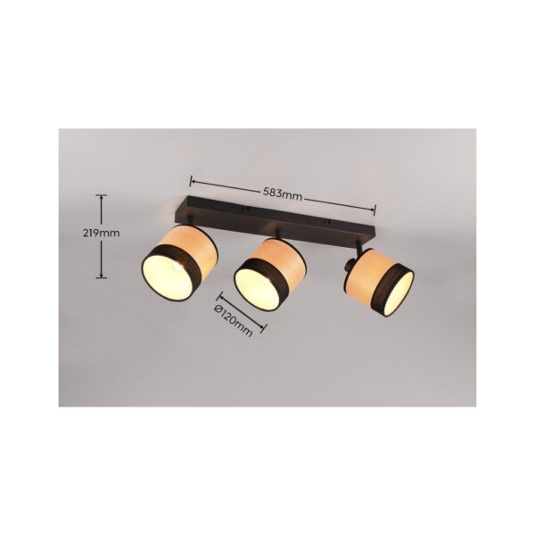 Trio Reality TR81663032 bodové stropní svítidlo BOLZANO E14