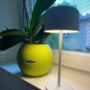 Immax 08497L LED solární venkovní stolní svítidlo CARO | 4W integrovaný LED zdroj | 150lm | 2700K