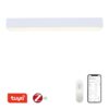 Immax NEO 07072-90 LED přisazené stropní svítidlo CANTO | 50W integrovaný LED zdroj | 4220lm | 3000-6000K