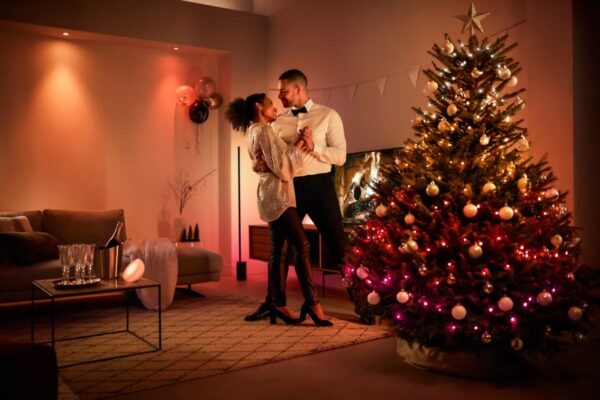 Philips Hue 8720169246867 LED vánoční světelný řetěz Festavia | 28W integrovaný LED zdroj