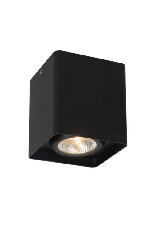 Lucide L288010730 LED venkovní stropní svítidlo LEEDS | 9W integrovaný LED zdroj | 650lm | 2700K