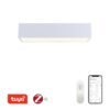 Immax NEO 07072-60 LED přisazené stropní svítidlo CANTO | 34W integrovaný LED zdroj | 2450lm | 3000-6000K
