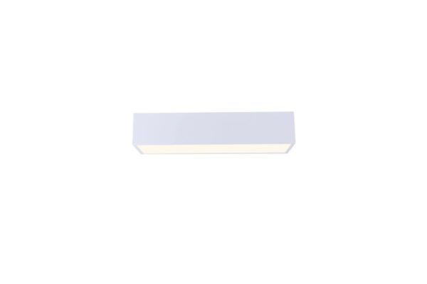Immax NEO 07072-60 LED přisazené stropní svítidlo CANTO | 34W integrovaný LED zdroj | 2450lm | 3000-6000K
