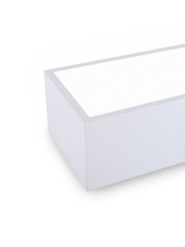 Immax NEO 07072-60 LED přisazené stropní svítidlo CANTO | 34W integrovaný LED zdroj | 2450lm | 3000-6000K
