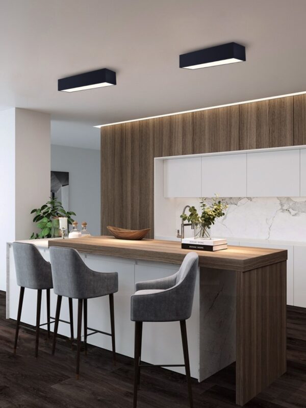 Immax NEO 07074-60 LED přisazené stropní svítidlo CANTO | 34W integrovaný LED zdroj | 2450lm | 3000-6000K