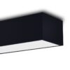 Immax NEO 07074-60 LED přisazené stropní svítidlo CANTO | 34W integrovaný LED zdroj | 2450lm | 3000-6000K