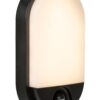 Lucide L228641030 LED venkovní nástěnné svítidlo HUPS IR | 10W integrovaný LED zdroj | 950lm | 3000K