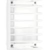 NIKKOplus 21/G 1X60W WHITE 002010