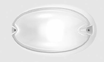 CHIP OVALE 30 WHITE 005780