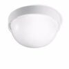 DROP 25 WHITE 005010