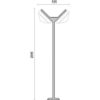 NEW POLE DELTA 33 M2 008135
