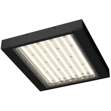 ERGO DS 105W 4K 02DS105K465