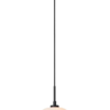Lucide L254142061 závěsné stropní svítidlo TREVOR  G9