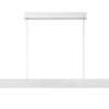 Lucide L454553631 LED závěsné stropní svítidlo RAYA  | 36W integrovaný LED zdroj | 4000lm | 2700K