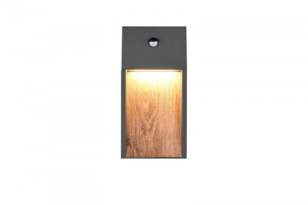 Trio T246969135 LED venkovní nástěnné svítidlo SALMON  | 11W integrovaný LED zdroj | 1200lm | 3000K