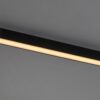 LiTrack Line07W