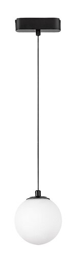 LiTrack Pend.01W