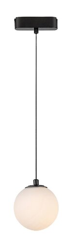 LiTrack Pend.01W