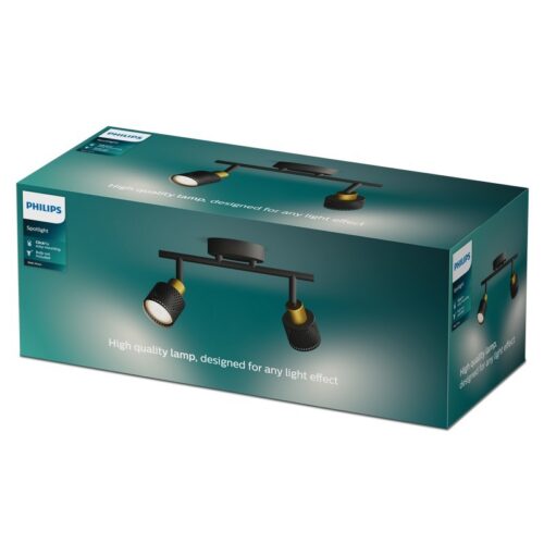 Philips 8720169300095 bodové stropní svítidlo Niall  GU10