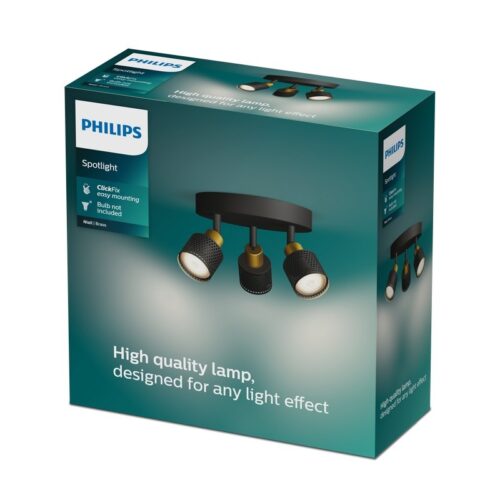 Philips 8720169300156 bodové stropní svítidlo Niall  GU10