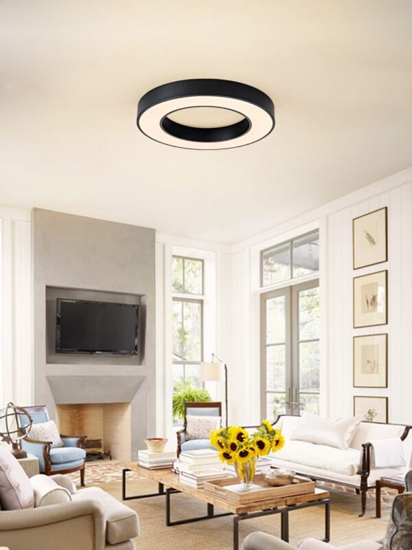 Immax NEO 07209L LED přisazené stropní svítidlo PASTEL integrovaný LED zdroj