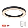 Immax NEO 07210L LED přisazené stropní svítidlo PASTEL | 66W integrovaný LED zdroj