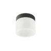 Redo 01-3359 LED bodové stropní svítidlo NAIDA  | 6W integrovaný LED zdroj | 258lm | 3000+4000K