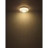 Globo 67162-50D LED přisazené stropní svítidlo MUCKY  | 50W integrovaný LED zdroj | 3965lm | 2700-6000K