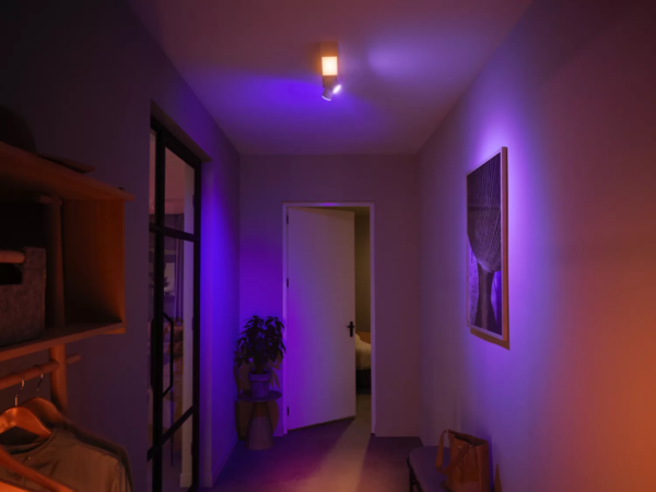 Philips HUE  8720169318373 LED přisazené stropní svítidlo Centris  | 2x4,2+11W GU10/LED | 2000-6500K+RGBK