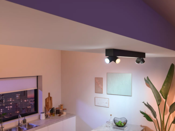 Philips HUE  8720169318557 LED přisazené stropní svítidlo Centris  | 4x4,2+40W GU10 | 2000-6500K+RGBK