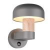 Trio T262569135 venkovní nástěnné svítidlo FRASER  E27